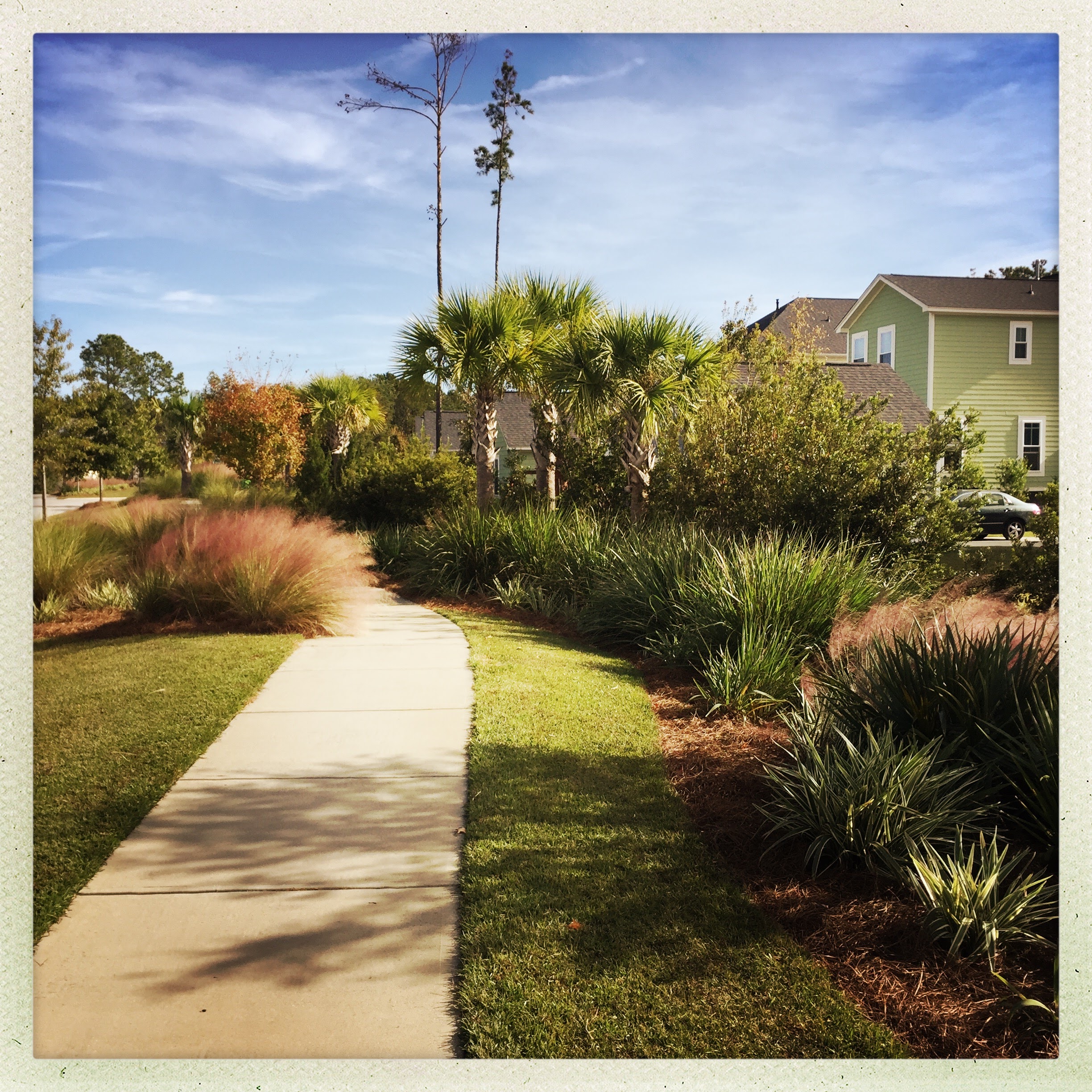 A Carolina Park streetscape