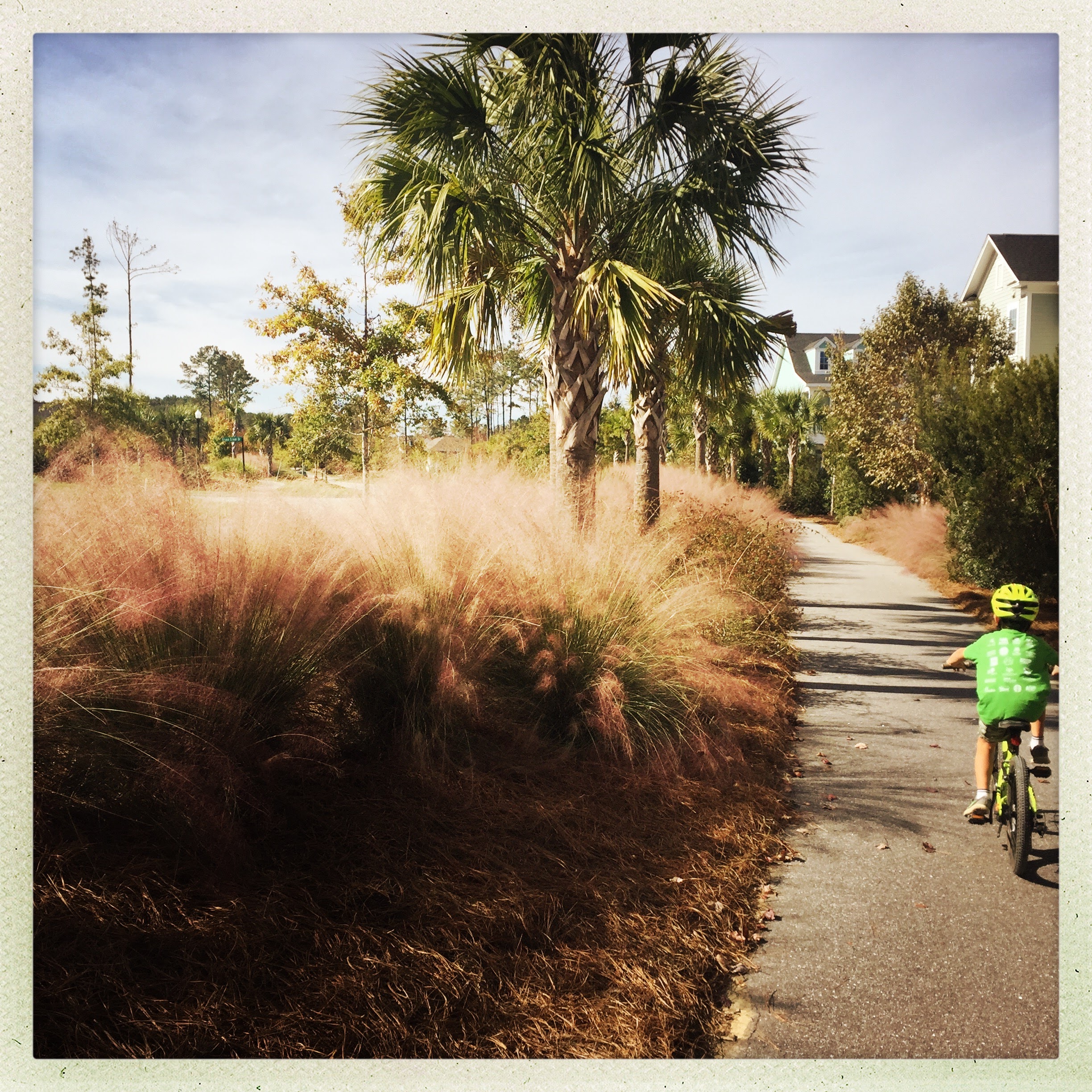A neighborhood trail